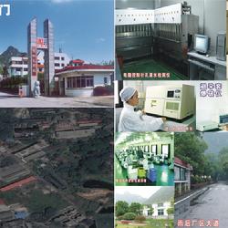 桂林乳胶厂的成立背景